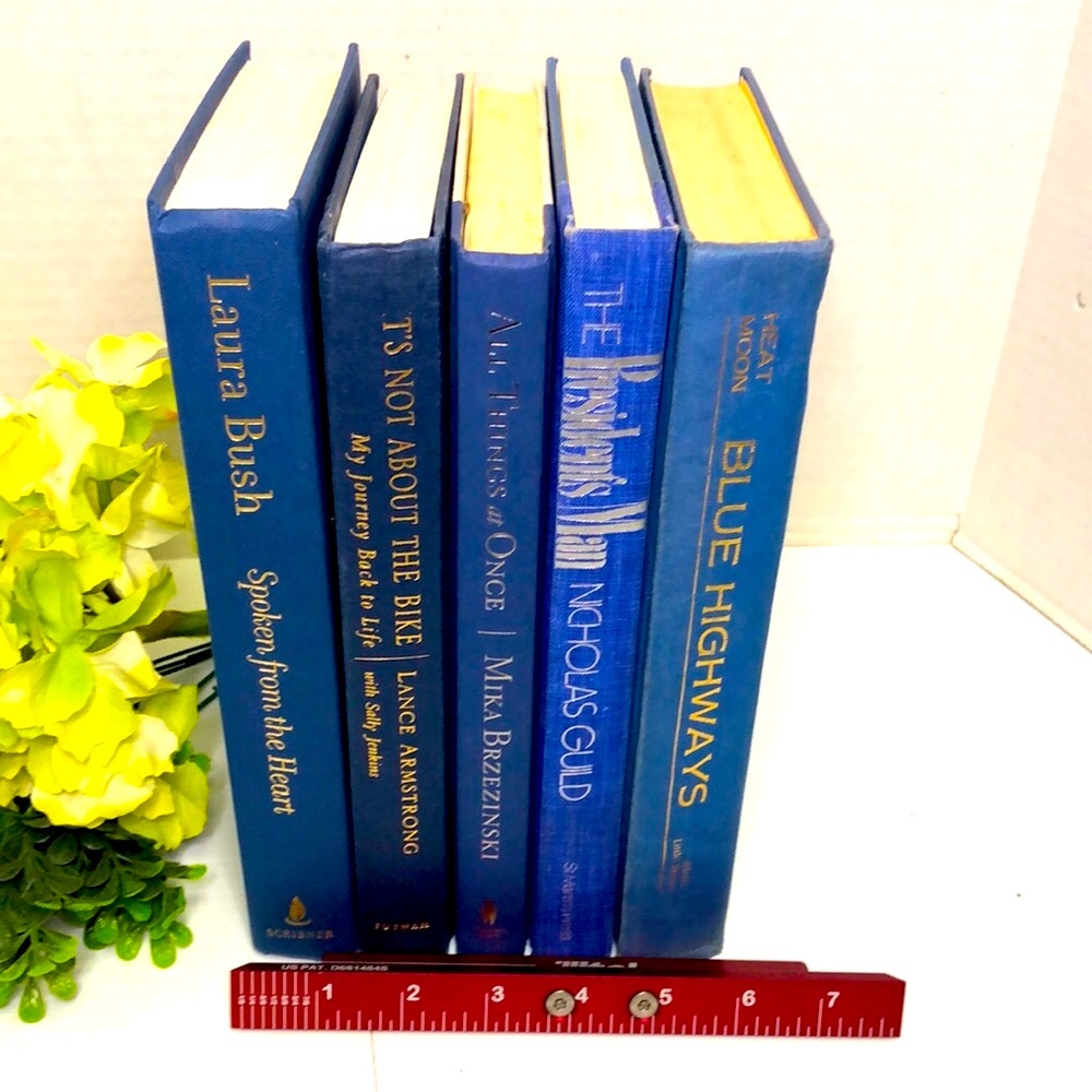 Shades of Blue Modern Decor Vintage Stack of Decorative Books Color Coded - Picture 4 of 4